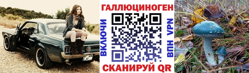 маркетплейс состав  где купить   Томари  Галлюциногенные грибы Psilocybe 